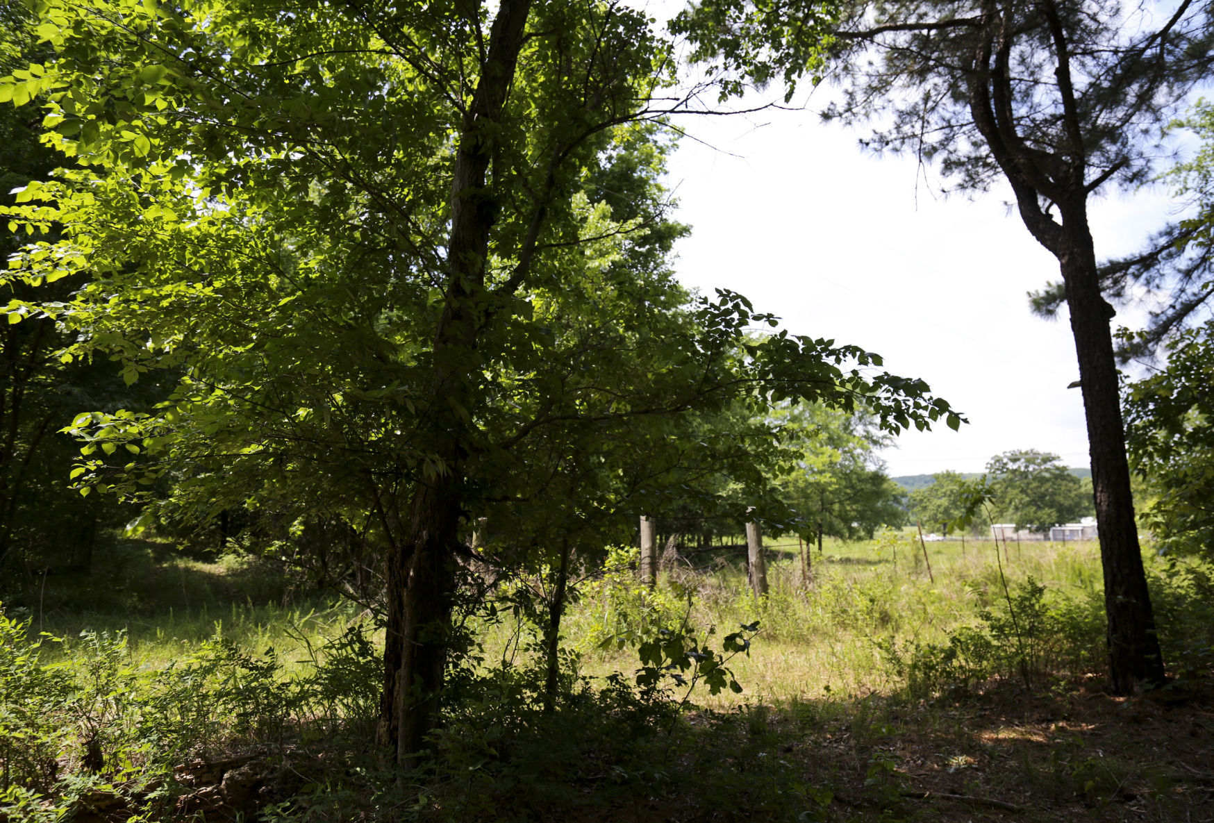 camp scott girl scout murder